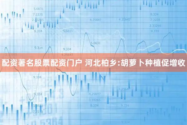 配资著名股票配资门户 河北柏乡:胡萝卜种植促增收